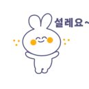 이루지오 이미지