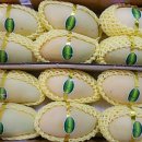 유림청과 이미지