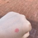 씨유 구암점 | 나의 여름