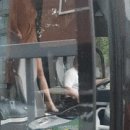 856009 이미지