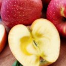 형은농장 이미지