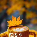 지혜의샘 이미지