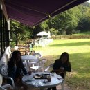 oh my dog(오마이독) 이미지