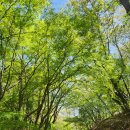 완산-26 티스토리