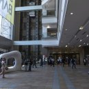 스노우즈 이미지