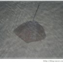 고대1118 이미지