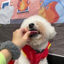 유니독스 이미지