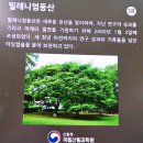 천장산 기슭의 홍릉숲과 영휘원,숭인원을 찾아서............. 이미지