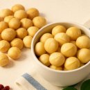 그린웰빙 | 견과류의 황제, '그린홀릭 구운 마카다미아'로 챙기는 건강 루틴