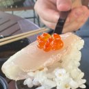 트리거피쉬 | 강남구카이센동맛집 트리거피쉬 포장해서 양재천 나들이 다녀왔어요