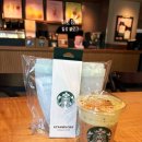 그린환경개발 | 2026 스타벅스 스프링 실리콘 푸드백 세트 그린컬러 내돈내산 구매 후기