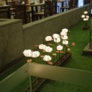 클로버관광여행사(클로버관광) 이미지