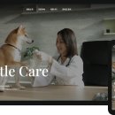 디자인스킨