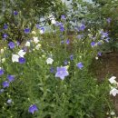 환희농장 이미지