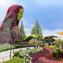 진천장미공원 이미지