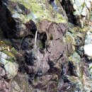 법수농원 | [40명산/ 28. 천성산 2봉] 계곡까지 말려버린 남쪽지역의 폭염 ㅠㅠ