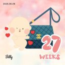외인아파트 | 임신 27주~38주 기록｜제주 태교여행, 이사, 출산준비, 유도분만 결정