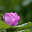 여울목수변공원 이미지