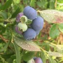 칠월펜션 이미지