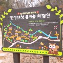 천생산성 유아숲체험원 이미지