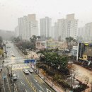 한라합기도 이미지