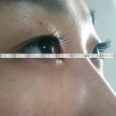 미를붙이다 이미지