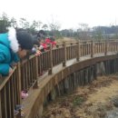 알곡어린이집 이미지