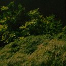 은하수독서실 이미지