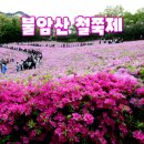 한국장애인문화서울시협회 노원구지부 | 노원구 '불암산 철쭉제' (4.16~4.26)