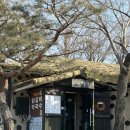 춘천메밀촌·닭갈비 | 강원도춘천로컬맛집 손흥민도 즐겨먹는 닭갈비집 메밀촌닭갈비막국수