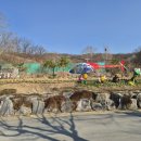 나비공원 농구장
