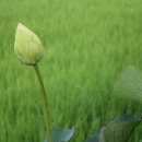 서래원 이미지