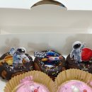 장성초병설유치원 이미지