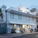 아일랜드 앤 코 이미지