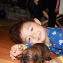 세민농장2 이미지