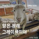 성은목장 | [Page.5] 양은 원래 그레이 색이야.