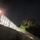 [백운호수 맛집] 화덕피자 전문 '핏제리아 라따' 평일 저녁 방문 후기