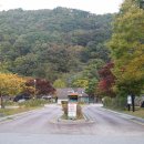 달궁자동차야영장 이미지