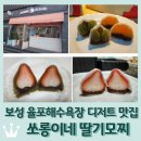 쏘롱이네 | 보성 율포해수욕장 <쏘롱이네 딸기모찌> 직접 재배한 GAP인증 딸기로 만든 딸기모찌!