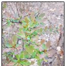 또또전자 이미지