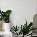 파크자이공인중개사사무소 이미지