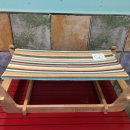 비숑이즈 이미지