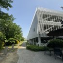 신탄진IC주유소 | 대전 라도무스 웨딩홀 후기 / WK &amp; 루이비스 / 비교