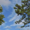 금성관 | [전남 나주] 나주 여행 코스, 나주곰탕 먹고 산책하기 좋은 금성관 방문 후기