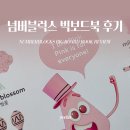 넘버블럭스 알파블럭스 빅 보드북 세트 유아 영어공부책 후기(내돈내산)