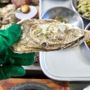 천북굴단지 이미지