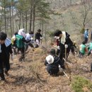 공주-68 이미지