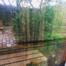 재덕한의원 이미지