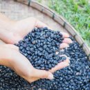 김할머니의령소바 이미지