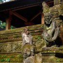 알펜시아 컨트리클럽 이미지